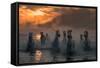 Camargue on Fire-Xavier Ortega-Framed Stretched Canvas