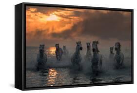 Camargue on Fire-Xavier Ortega-Framed Stretched Canvas