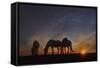 Camargue Sunrise-PH Burchett-Framed Stretched Canvas