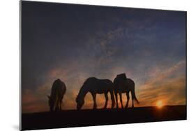 Camargue Sunrise-PH Burchett-Mounted Photographic Print