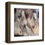 Camargue-Cyril Réguerre -Framed Art Print