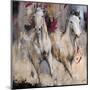 Camargue-Cyril Réguerre -Mounted Art Print