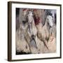 Camargue-Cyril Réguerre -Framed Art Print