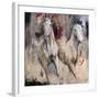 Camargue-Cyril Réguerre -Framed Art Print