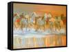 Camargue-William Ireland-Framed Stretched Canvas