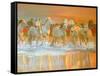 Camargue-William Ireland-Framed Stretched Canvas