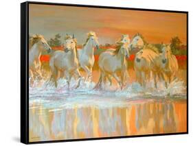 Camargue-William Ireland-Framed Stretched Canvas