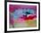 Camaro Racing-NaxArt-Framed Art Print