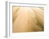 Camber Sands Beach at sunrise, Camber, near Rye, East Sussex, England, United Kingdom, Europe-Matthew Williams-Ellis-Framed Photographic Print