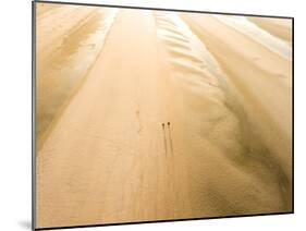 Camber Sands Beach at sunrise, Camber, near Rye, East Sussex, England, United Kingdom, Europe-Matthew Williams-Ellis-Mounted Photographic Print