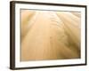 Camber Sands Beach at sunrise, Camber, near Rye, East Sussex, England, United Kingdom, Europe-Matthew Williams-Ellis-Framed Photographic Print