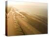 Camber Sands Beach at sunrise, Camber, near Rye, East Sussex, England, United Kingdom, Europe-Matthew Williams-Ellis-Stretched Canvas