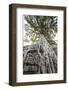 Cambodia, Angkor. Ta Prohm tree.-Walter Bibikow-Framed Photographic Print