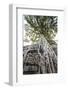 Cambodia, Angkor. Ta Prohm tree.-Walter Bibikow-Framed Photographic Print