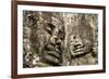 Cambodia, Angkor Wat. Angkor Thom, Bayon. Carved Faces of Lokesvara-Matt Freedman-Framed Photographic Print