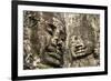 Cambodia, Angkor Wat. Angkor Thom, Bayon. Carved Faces of Lokesvara-Matt Freedman-Framed Photographic Print