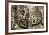 Cambodia, Angkor Wat. Angkor Thom, Bayon. Carved Faces of Lokesvara-Matt Freedman-Framed Photographic Print