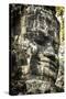 Cambodia, Angkor Wat. Angkor Thom, Bayon. Carved Faces of Lokesvara-Matt Freedman-Stretched Canvas