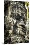 Cambodia, Angkor Wat. Angkor Thom, Bayon. Carved Faces of Lokesvara-Matt Freedman-Mounted Photographic Print