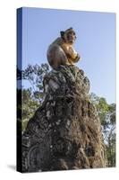 Cambodia, Angkor Wat. Long Tailed Macaque on Statue-Matt Freedman-Stretched Canvas
