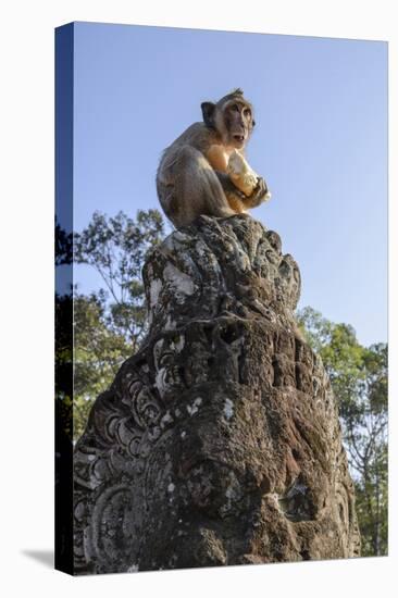 Cambodia, Angkor Wat. Long Tailed Macaque on Statue-Matt Freedman-Stretched Canvas