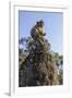 Cambodia, Angkor Wat. Long Tailed Macaque on Statue-Matt Freedman-Framed Premium Photographic Print