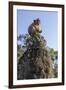 Cambodia, Angkor Wat. Long Tailed Macaque on Statue-Matt Freedman-Framed Premium Photographic Print