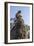 Cambodia, Angkor Wat. Long Tailed Macaque on Statue-Matt Freedman-Framed Photographic Print