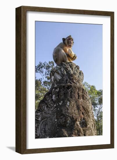 Cambodia, Angkor Wat. Long Tailed Macaque on Statue-Matt Freedman-Framed Photographic Print