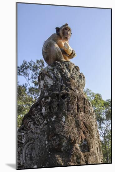 Cambodia, Angkor Wat. Long Tailed Macaque on Statue-Matt Freedman-Mounted Photographic Print