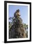 Cambodia, Angkor Wat. Long Tailed Macaque on Statue-Matt Freedman-Framed Photographic Print