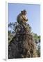 Cambodia, Angkor Wat. Long Tailed Macaque on Statue-Matt Freedman-Framed Photographic Print