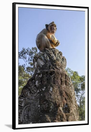 Cambodia, Angkor Wat. Long Tailed Macaque on Statue-Matt Freedman-Framed Premium Photographic Print