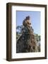 Cambodia, Angkor Wat. Long Tailed Macaque on Statue-Matt Freedman-Framed Photographic Print