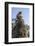 Cambodia, Angkor Wat. Long Tailed Macaque on Statue-Matt Freedman-Framed Photographic Print