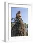 Cambodia, Angkor Wat. Long Tailed Macaque on Statue-Matt Freedman-Framed Photographic Print