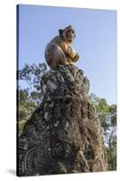 Cambodia, Angkor Wat. Long Tailed Macaque on Statue-Matt Freedman-Stretched Canvas