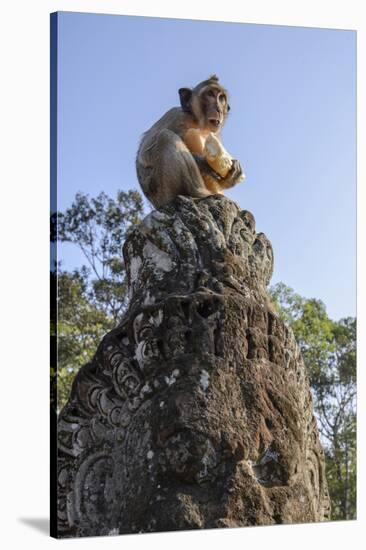 Cambodia, Angkor Wat. Long Tailed Macaque on Statue-Matt Freedman-Stretched Canvas