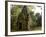 Cambodia, Angkor Wat. Small Temple-Matt Freedman-Framed Photographic Print