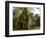 Cambodia, Angkor Wat. Small Temple-Matt Freedman-Framed Photographic Print