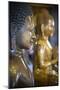 Cambodia, Phnom Penh. Buddha Statues Inside Temple-Matt Freedman-Mounted Photographic Print