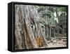 Cambodia, Siem Reap, Angkor, Ta Prohm Temple-Steve Vidler-Framed Stretched Canvas