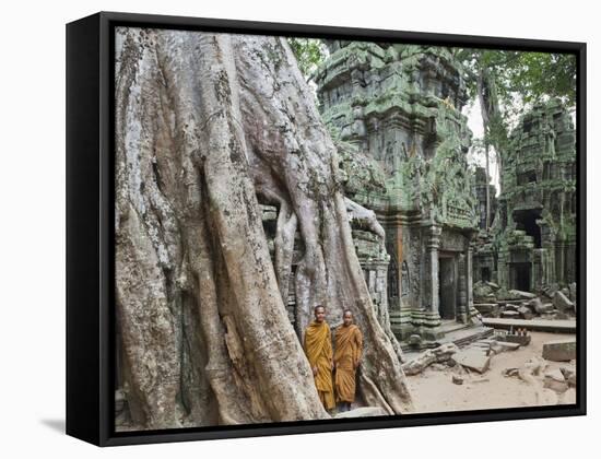 Cambodia, Siem Reap, Angkor, Ta Prohm Temple-Steve Vidler-Framed Stretched Canvas