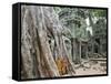 Cambodia, Siem Reap, Angkor, Ta Prohm Temple-Steve Vidler-Framed Stretched Canvas