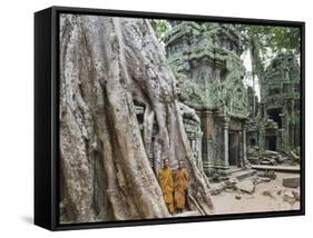 Cambodia, Siem Reap, Angkor, Ta Prohm Temple-Steve Vidler-Framed Stretched Canvas