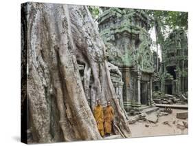 Cambodia, Siem Reap, Angkor, Ta Prohm Temple-Steve Vidler-Stretched Canvas