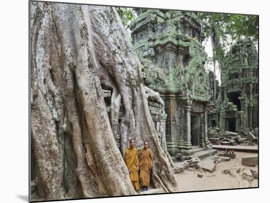 Cambodia, Siem Reap, Angkor, Ta Prohm Temple-Steve Vidler-Mounted Photographic Print