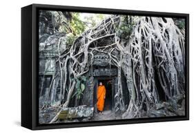 Cambodia, Siem Reap, Angkor Wat Complex. Buddhist Monk Inside Ta Prohm Temple (Mr)-Matteo Colombo-Framed Stretched Canvas