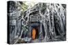 Cambodia, Siem Reap, Angkor Wat Complex. Buddhist Monk Inside Ta Prohm Temple (Mr)-Matteo Colombo-Stretched Canvas