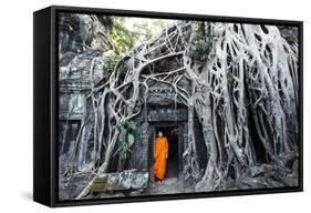 Cambodia, Siem Reap, Angkor Wat Complex. Buddhist Monk Inside Ta Prohm Temple (Mr)-Matteo Colombo-Framed Stretched Canvas